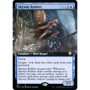 Skyway Robber