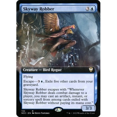 Skyway Robber