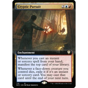 Cryptic Pursuit