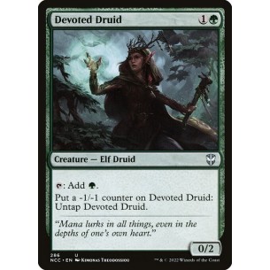 Druido Devoto