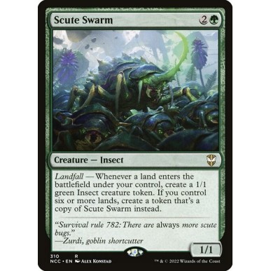 Sciame di Scudati