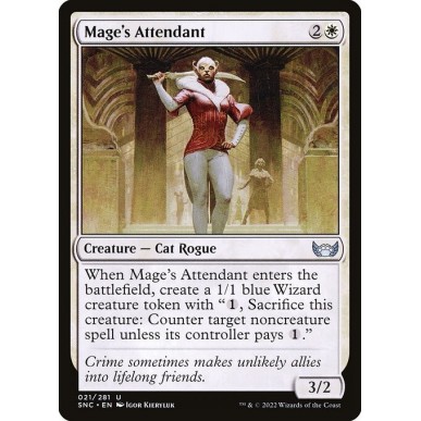 Mage's Attendant