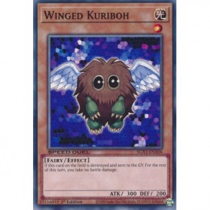 Winged Kuriboh (V.1 - Common)