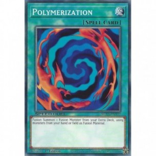 Polymerization (V.1 - Common)