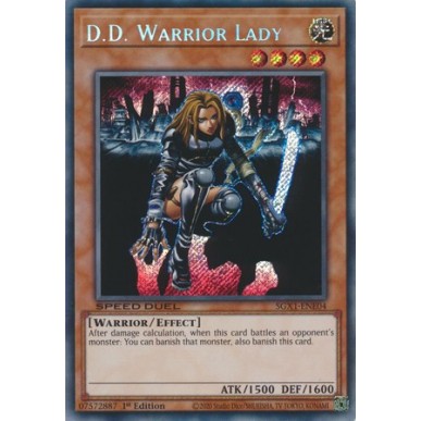 Signora Guerriera D.D. (V.2 - Secret...