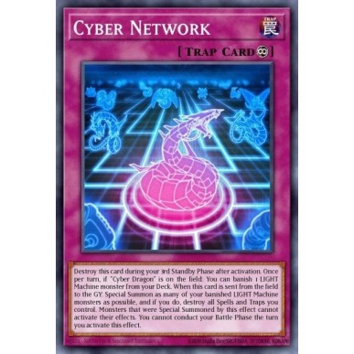Cyber Network