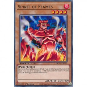 Spirit of Flames