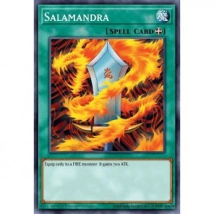 Salamandra