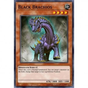 Brachiodonte Nero