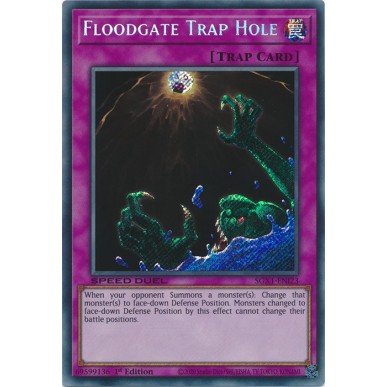 Buco Trappola Chiusa (V.2 - Secret Rare)