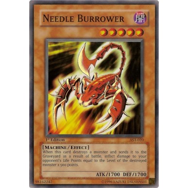 Needle Burrower