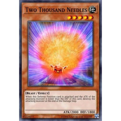 Two Thousand Needles