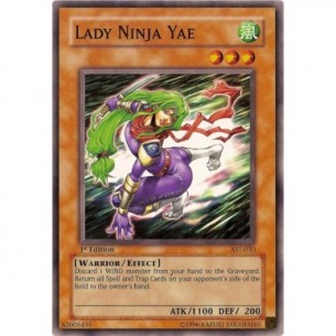 Lady Ninja Yae