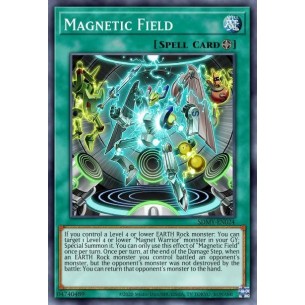 Magnetic Field