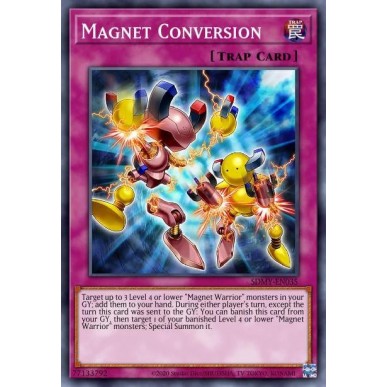 Magnet Conversion