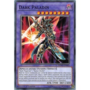 Dark Paladin