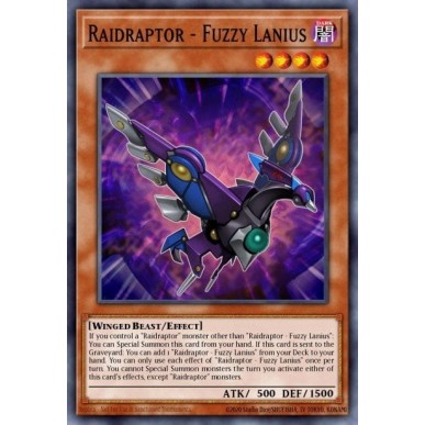 Raidraptor - Fuzzy Lanius