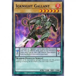 Igknight Gallant