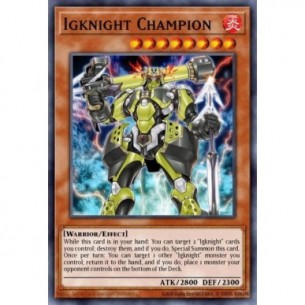Igknight Champion