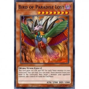 Uccello del Paradiso Perduto