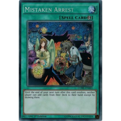 Mistaken Arrest