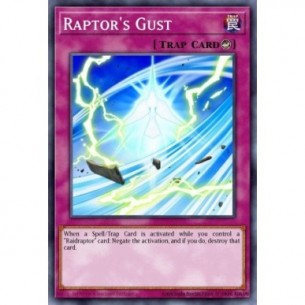 Raptor's Gust