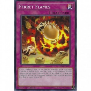 Ferret Flames