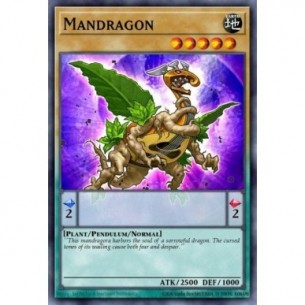 Mandragon