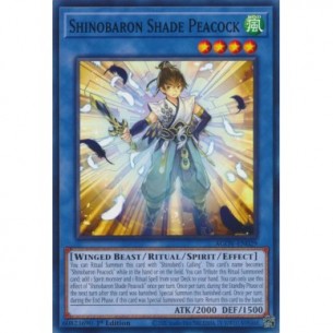 Shinobaron Shade Peacock