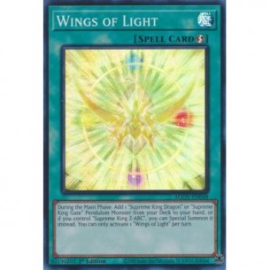 Wings of Light