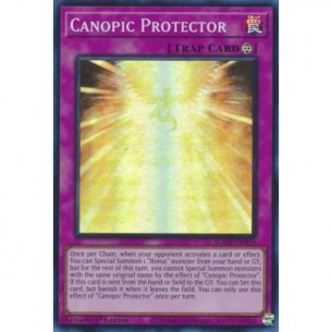 Canopic Protector