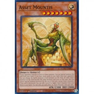 Asset Mountis
