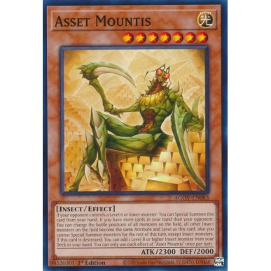 Asset Mountis