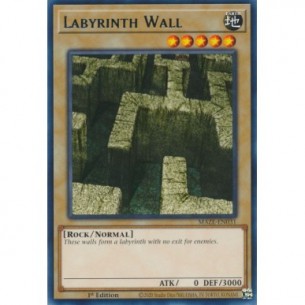 Labyrinth Wall