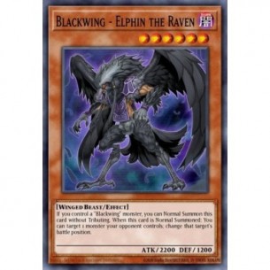 Blackwing - Elphin the Raven