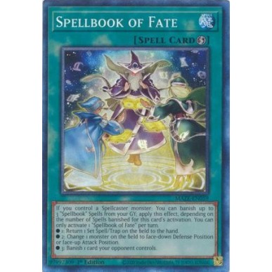 Libro di Magia del Fato (V.2 -...