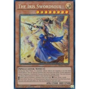 L'Iris Spadanima (V.6 -...