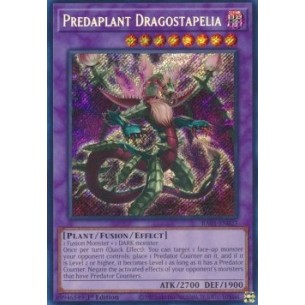 Predapianta Dragostapelia...