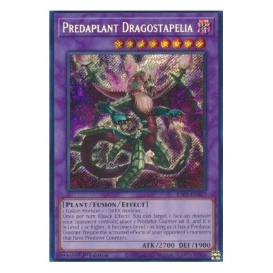 Predapianta Dragostapelia (V.3 -...