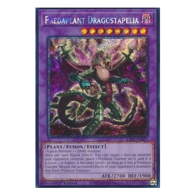 Predapianta Dragostapelia (V.4 -...