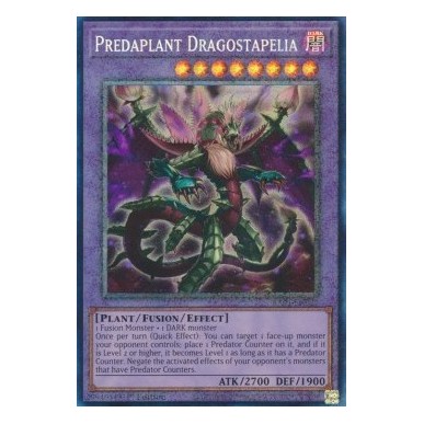 Predapianta Dragostapelia (V.6 -...