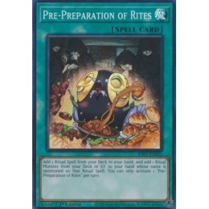 Pre-Preparazione dei Riti...