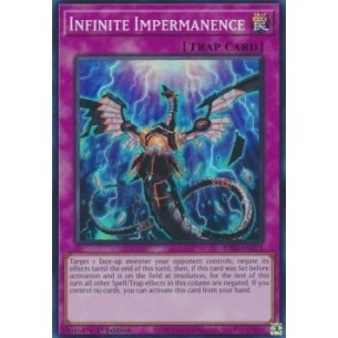 Impermanenza Infinita (V.1...