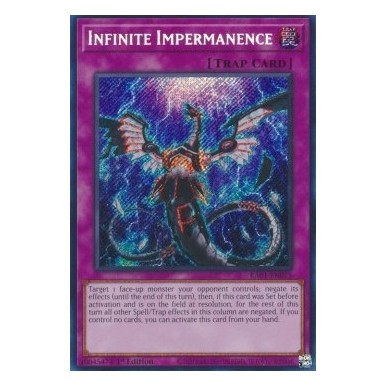Infinite Impermanence (V.3 - Secret...