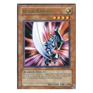 Cavaliere Lama (V.2)
