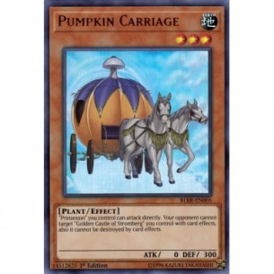 Carrozza di Zucca