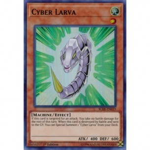 Cyber Larva