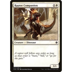 Raptor Companion