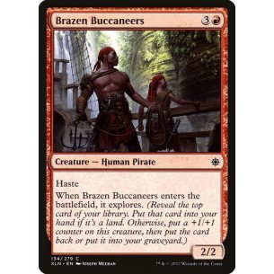 Bucanieri di Bronzo