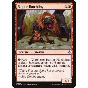 Cucciolo di Raptor
